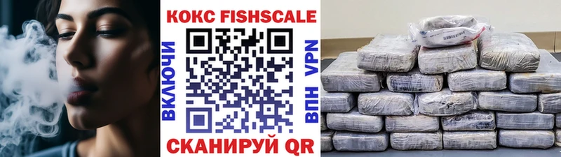 КОКАИН FishScale  где можно купить наркотик  Елизаветинская 