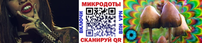 Псилоцибиновые грибы Psilocybe  мориарти как зайти  Елизаветинская 